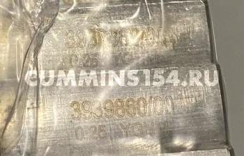 1233